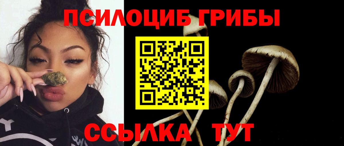 Галлюциногенные грибы GOLDEN TEACHER  Вход с VPN  Бугуруслан  Галлюциногенные грибы мухоморы 